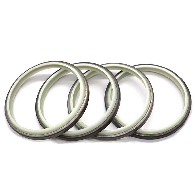 DKBI Dust Seal – Metal-Cased Double Lip Wiper Seal-5