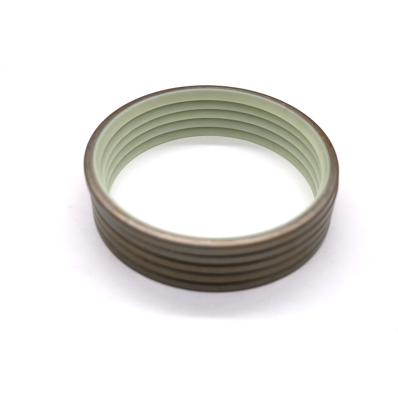DLI Dust Seal – Double Lip Metal Skeleton Wiper Seal-5