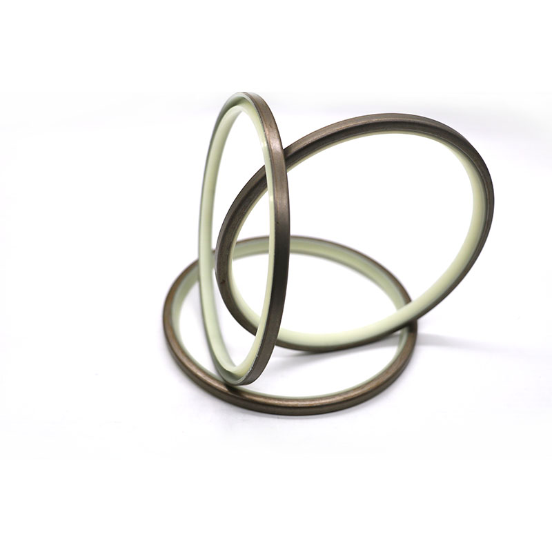 DLI Dust Seal – Double Lip Metal Skeleton Wiper Seal-4