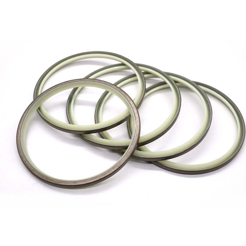 DLI Dust Seal – Double Lip Metal Skeleton Wiper Seal-3