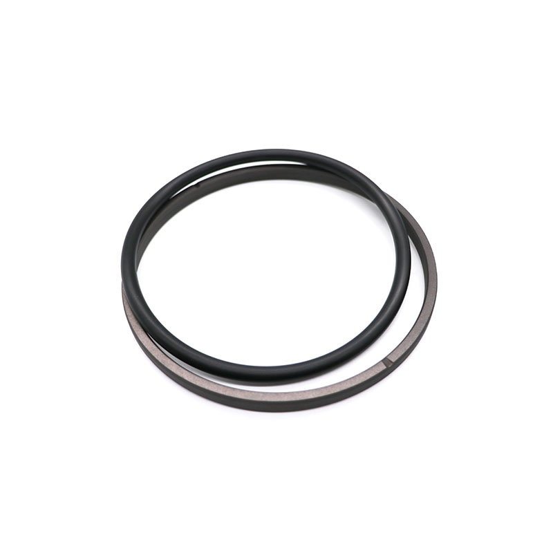 SPGO01 SPGO Compact Piston Seal – PTFE O-Ring Energized Bidirectional Seal-4