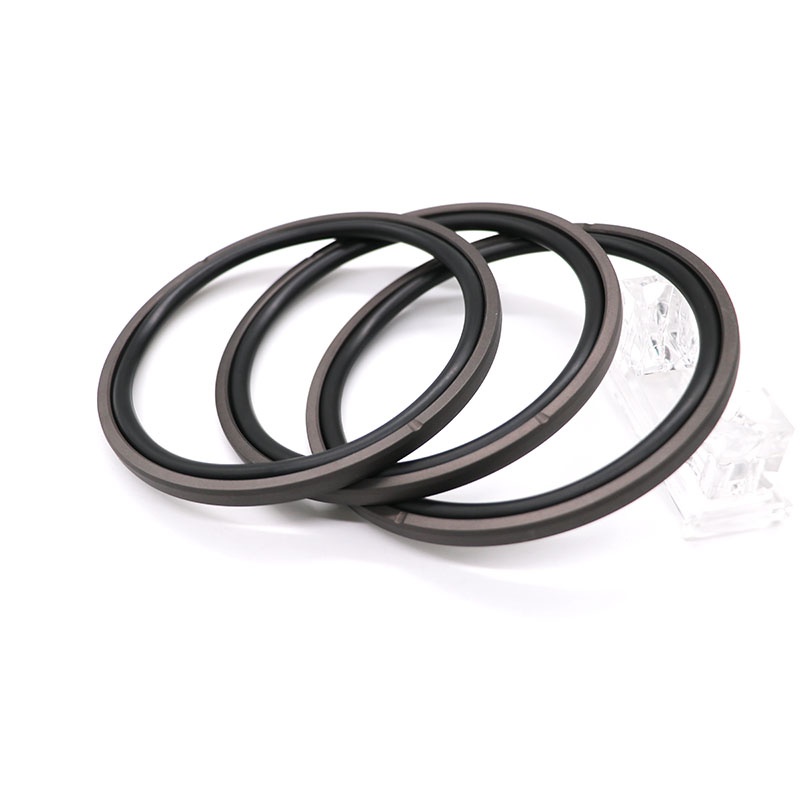 SPGO04 SPGO Compact Piston Seal – PTFE O-Ring Energized Bidirectional Seal-2