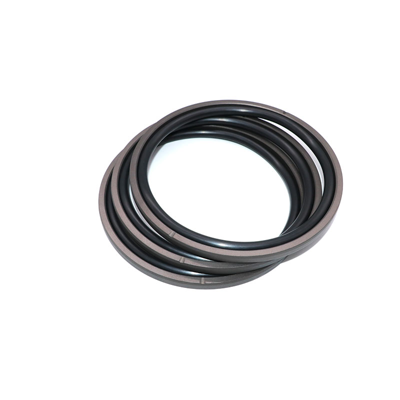 SPGO08 SPGO Compact Piston Seal – PTFE O-Ring Energized Bidirectional Seal-5